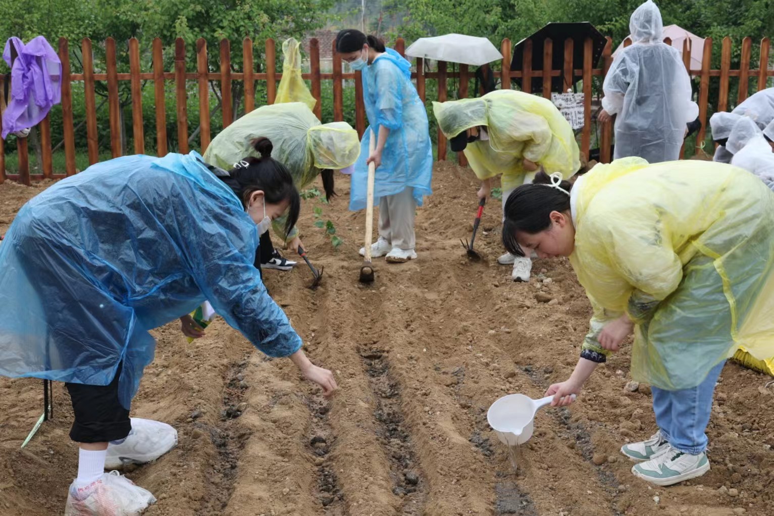 电竞数据
