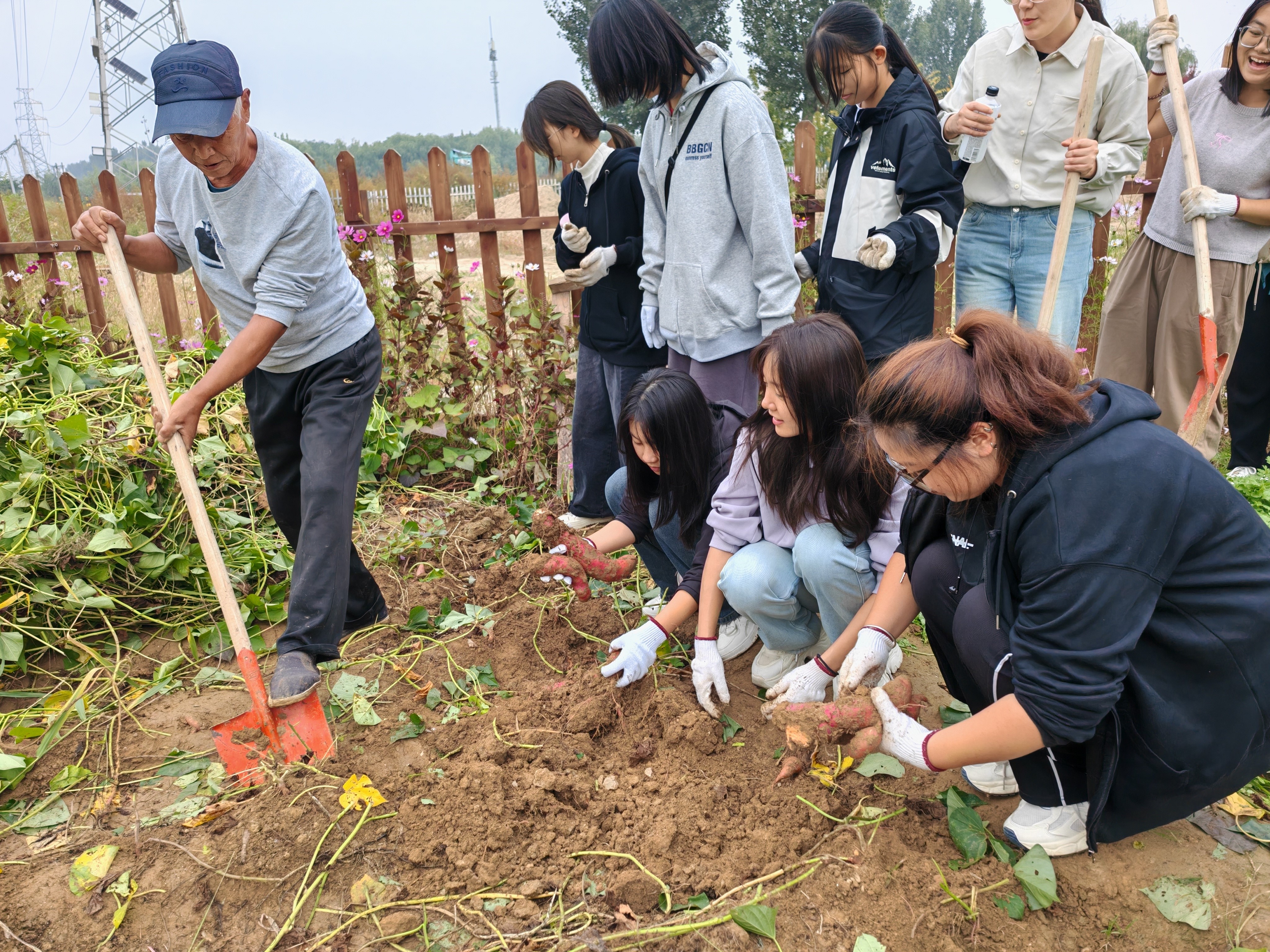 电竞数据